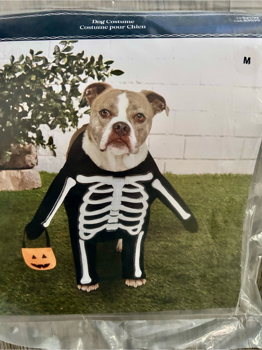 Ashland Black and White Skeleton Dog Costume